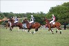 UKPA NC SAT_2798